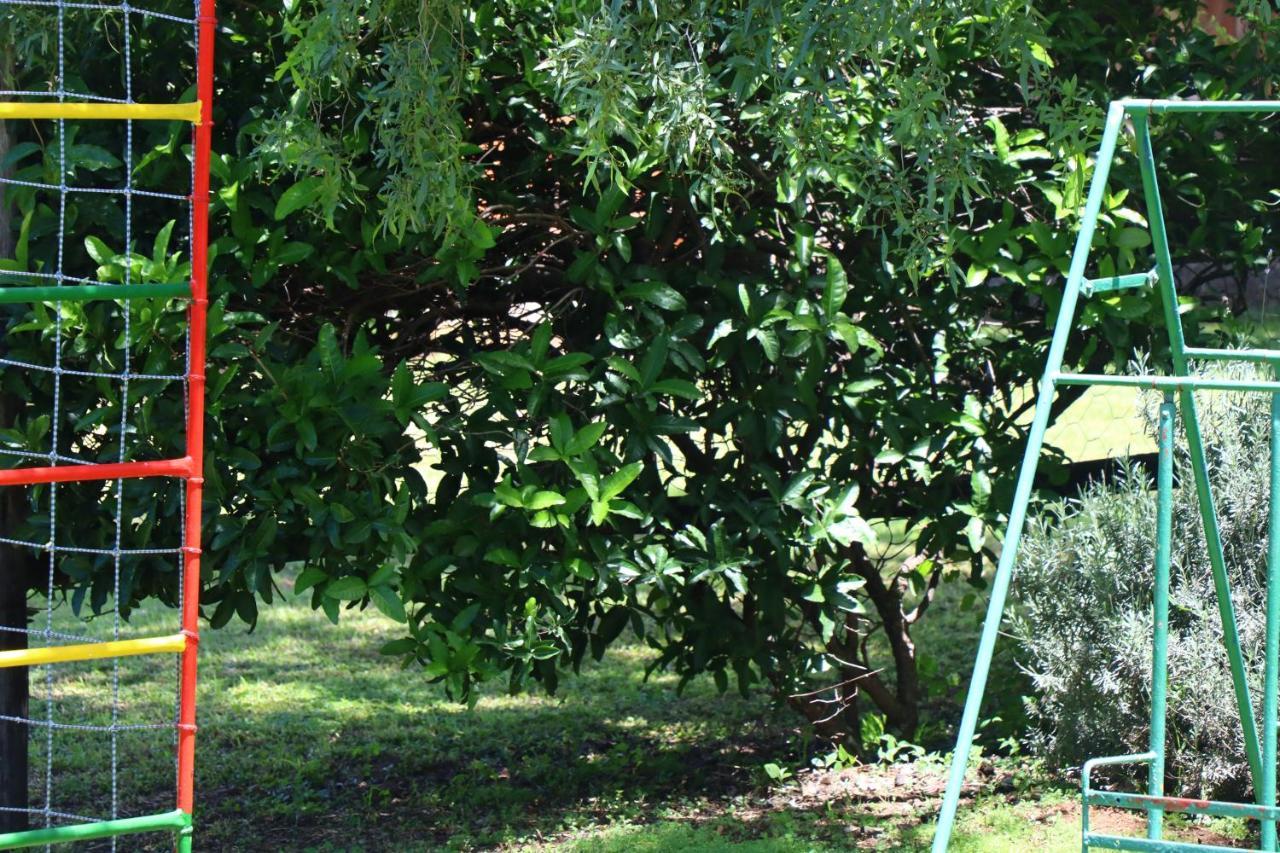 Olive Tree Farm Bed & Breakfast Magaliesburg Bagian luar foto