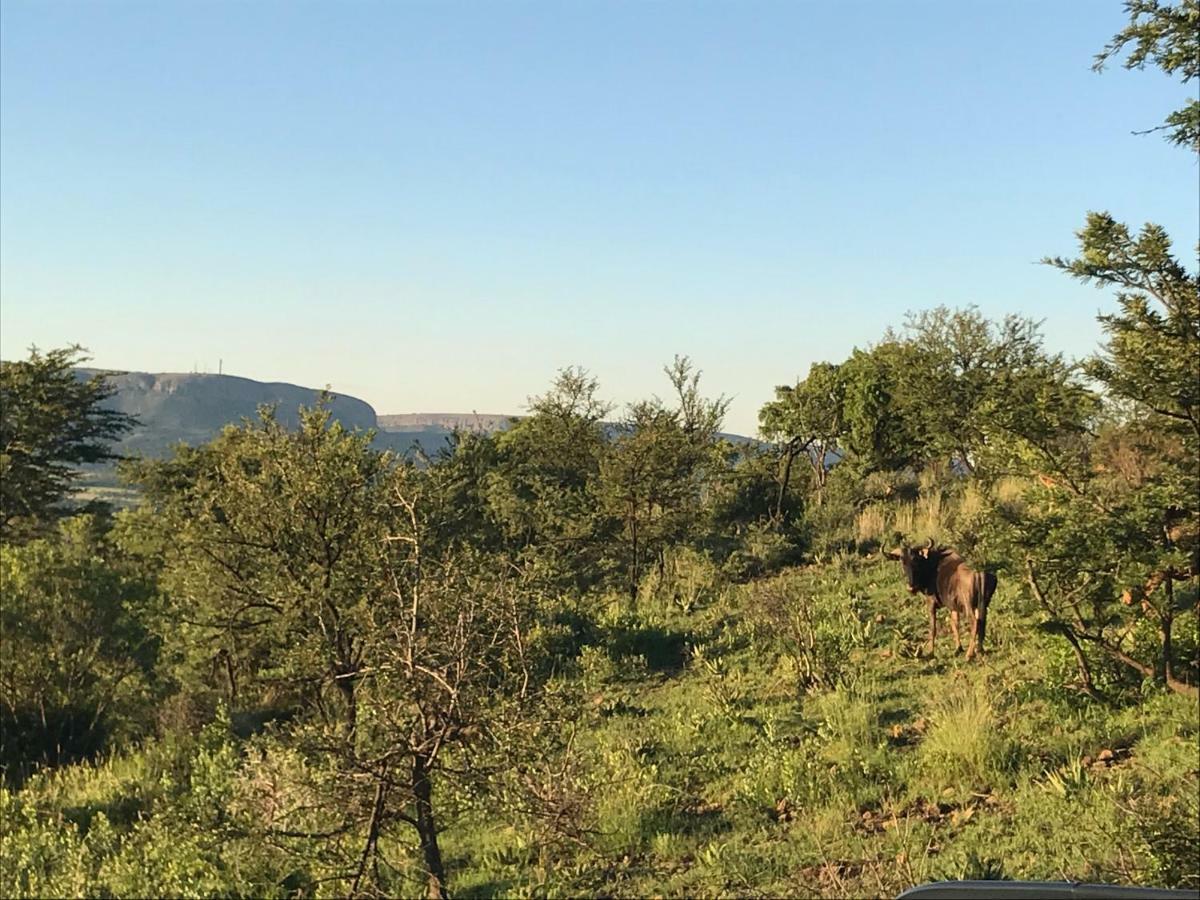 Olive Tree Farm Bed & Breakfast Magaliesburg Bagian luar foto