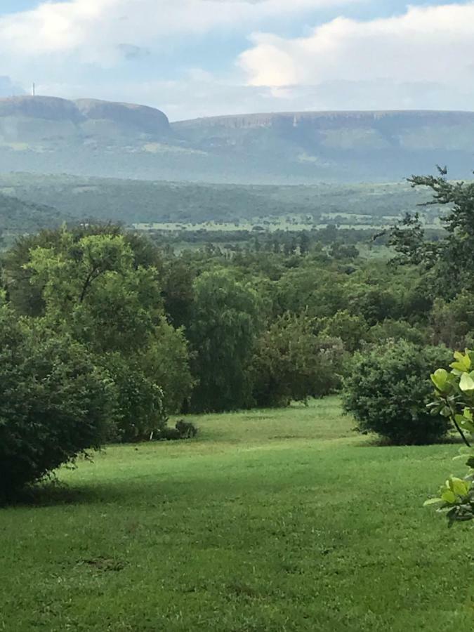 Olive Tree Farm Bed & Breakfast Magaliesburg Bagian luar foto