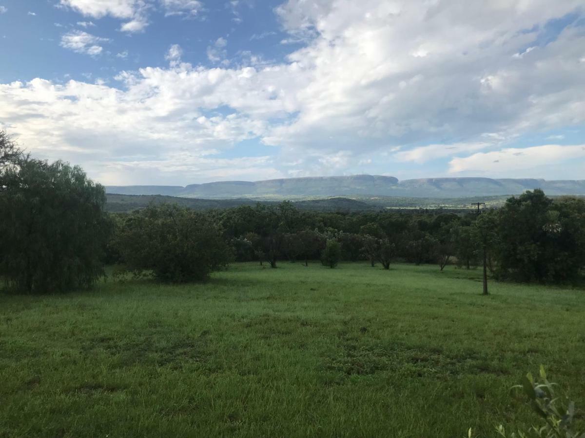 Olive Tree Farm Bed & Breakfast Magaliesburg Bagian luar foto