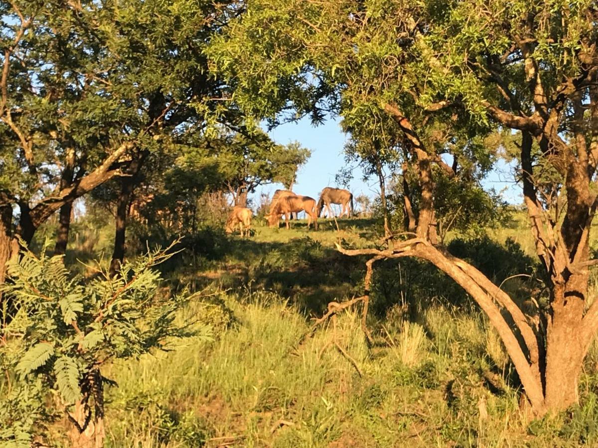Olive Tree Farm Bed & Breakfast Magaliesburg Bagian luar foto