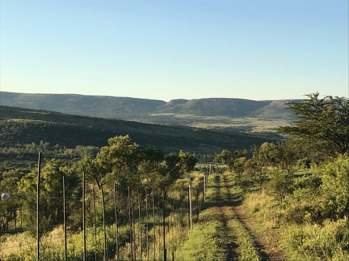 Olive Tree Farm Bed & Breakfast Magaliesburg Bagian luar foto