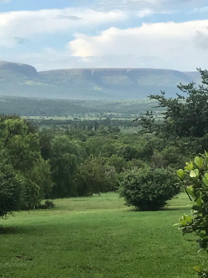 Olive Tree Farm Bed & Breakfast Magaliesburg Bagian luar foto
