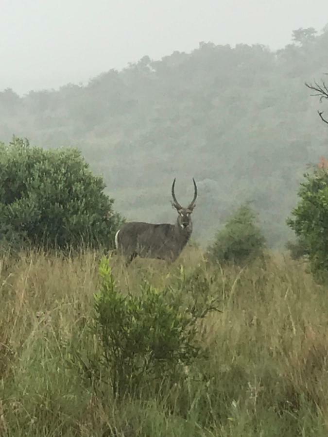 Olive Tree Farm Bed & Breakfast Magaliesburg Bagian luar foto