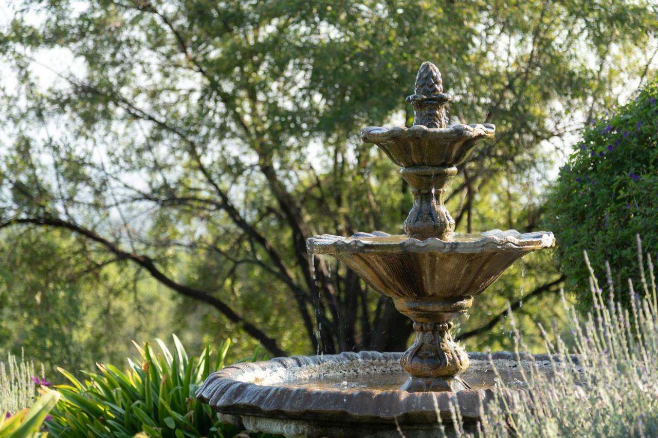Olive Tree Farm Bed & Breakfast Magaliesburg Bagian luar foto