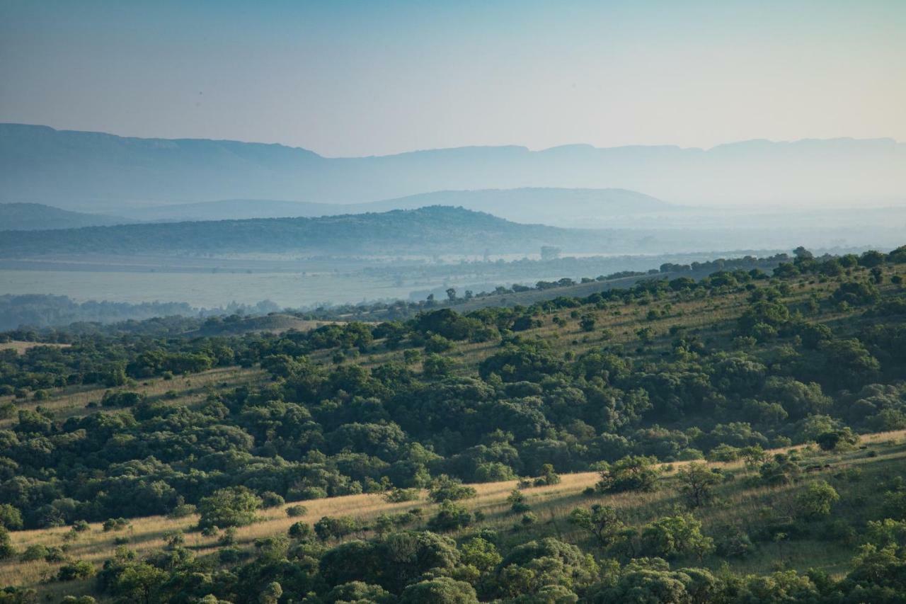 Olive Tree Farm Bed & Breakfast Magaliesburg Bagian luar foto