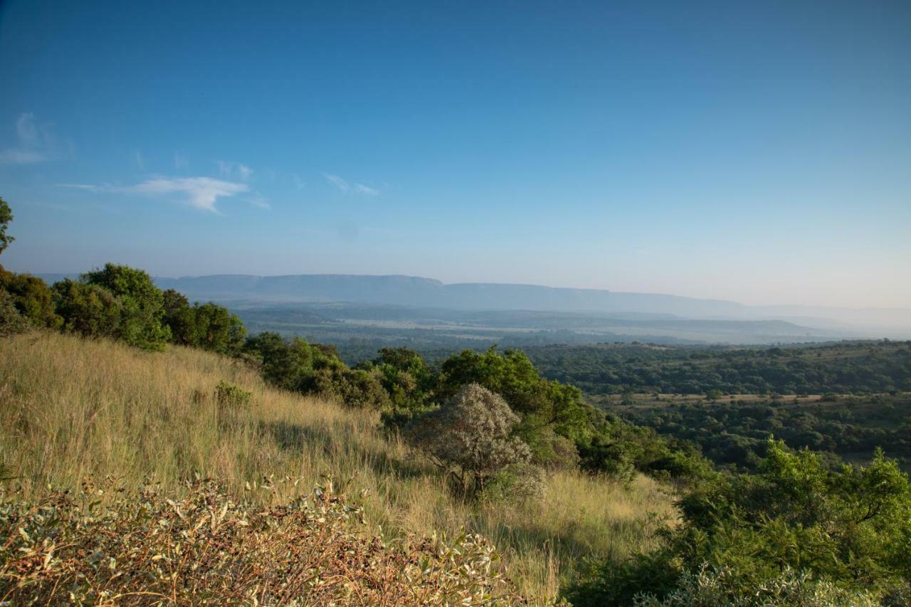 Olive Tree Farm Bed & Breakfast Magaliesburg Bagian luar foto