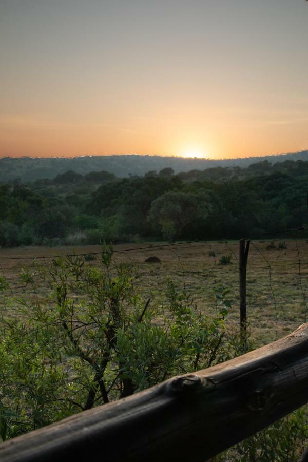 Olive Tree Farm Bed & Breakfast Magaliesburg Bagian luar foto