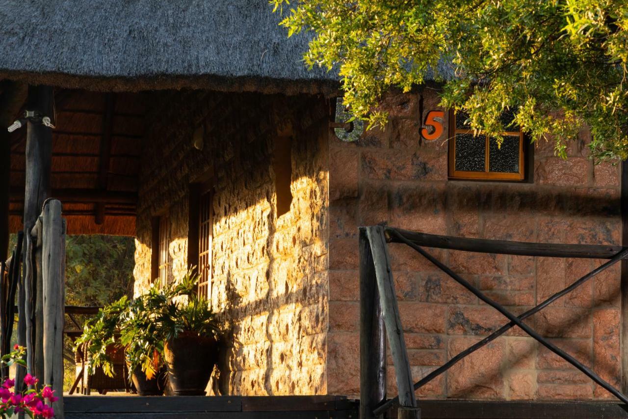 Olive Tree Farm Bed & Breakfast Magaliesburg Bagian luar foto