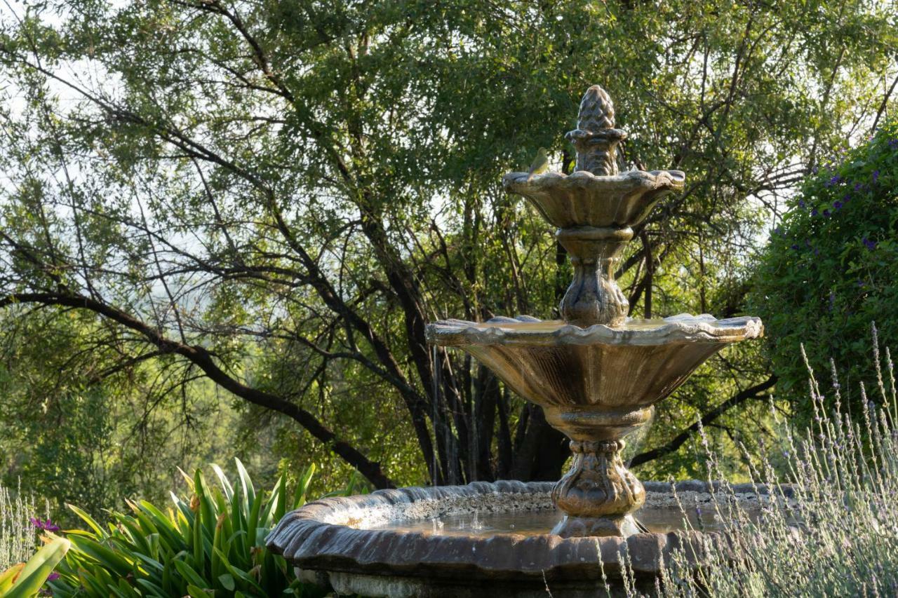 Olive Tree Farm Bed & Breakfast Magaliesburg Bagian luar foto