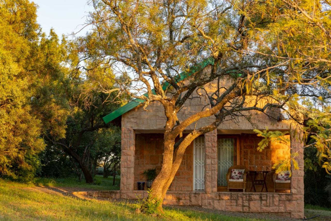 Olive Tree Farm Bed & Breakfast Magaliesburg Bagian luar foto