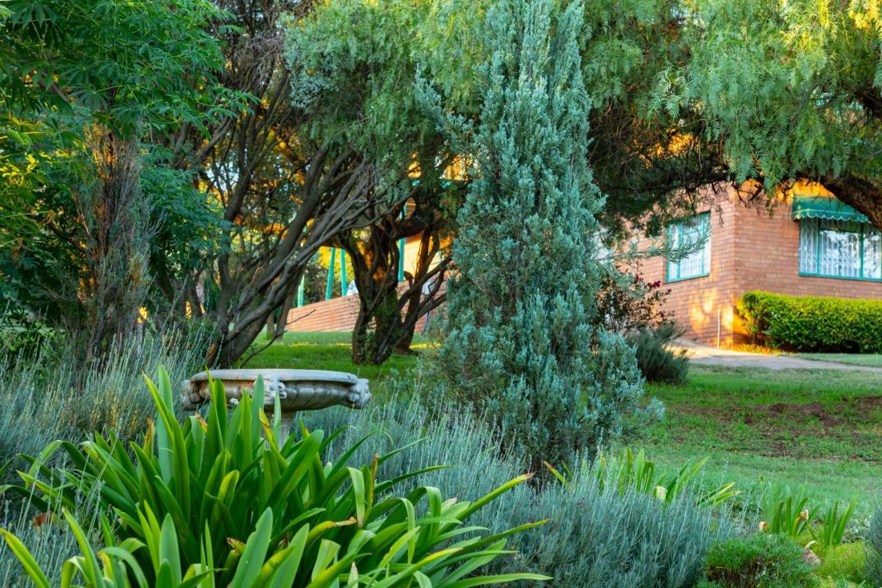 Olive Tree Farm Bed & Breakfast Magaliesburg Bagian luar foto